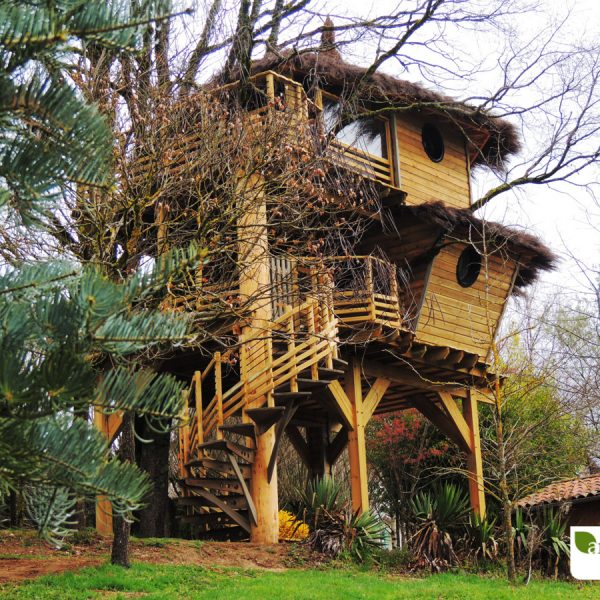 cabane_de_la_tomette_-_cabane_habitation_dans_les_arbres_-_arbre_habitat_-_vitrac_cantal_9_